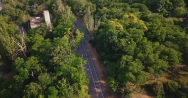 Odessa hava manzarası bir bisikletlinin ağacın etrafında yürümesini takip ediyor.