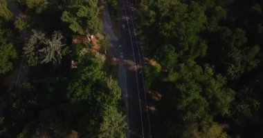 Odessa hava manzarası bir bisikletlinin ağacın etrafında yürümesini takip ediyor.