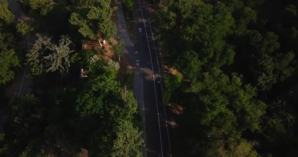 Vista aérea de Odessa siguiendo a un ciclista caminando por una carretera alrededor de un árbol — Vídeos de Stock