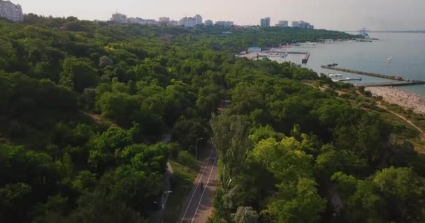 Οδησσός εναέρια άποψη μετά από έναν ποδηλάτη με τα πόδια σε ένα δρόμο γύρω από ένα δέντρο — Αρχείο Βίντεο