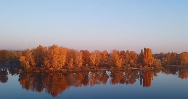 Een watermassa omringd door bomen — Stockvideo