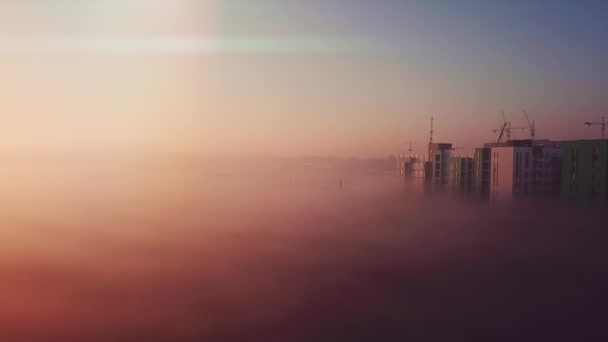 Dawn flight over the field and houses morning fog — Stock Video