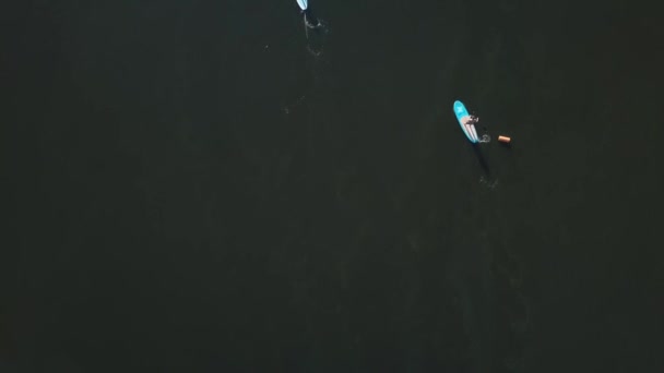 Sport su un fuoribordo sul fiume a distanza dalla gente — Video Stock