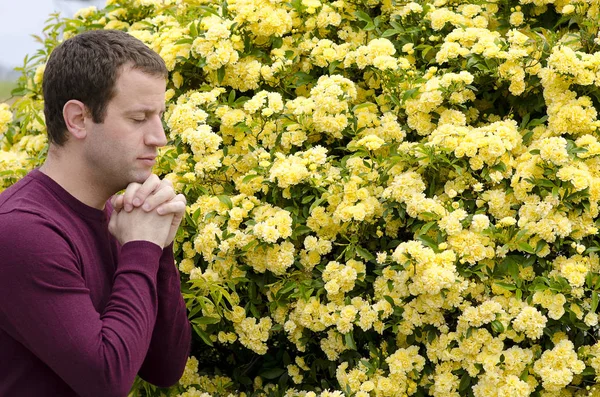 Seitenprofil des Mannes, der bei gelben Blumen betet. lizenzfreie Stockfotos