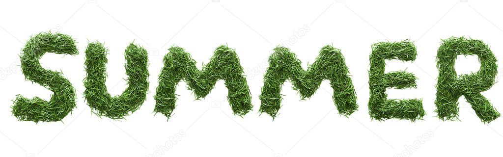 summer made of green grass isolated