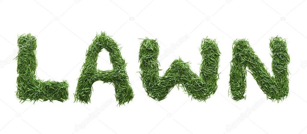 lawn made of green grass isolated