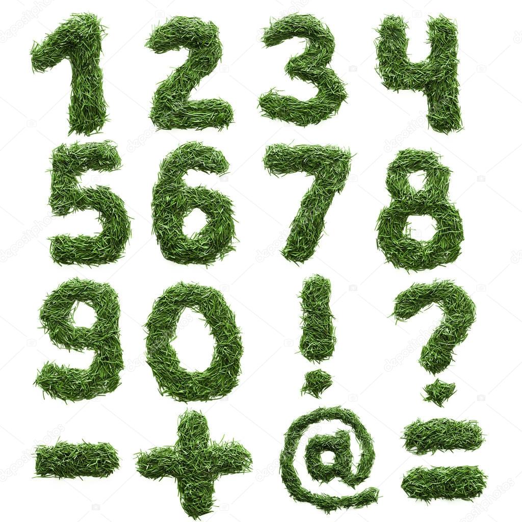 numbers and symbols are made of green grass isolated
