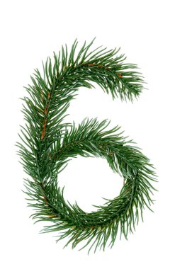 6 numara, Noel ağacı dallarından toplanmış, yeşil köknar. Beyaz arkaplanda izole