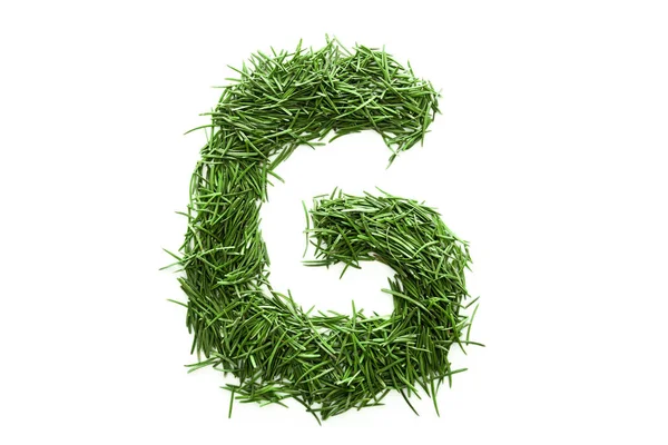 Letter Alphabet Made Green Grass Isolated White Background — Stock Photo, Image