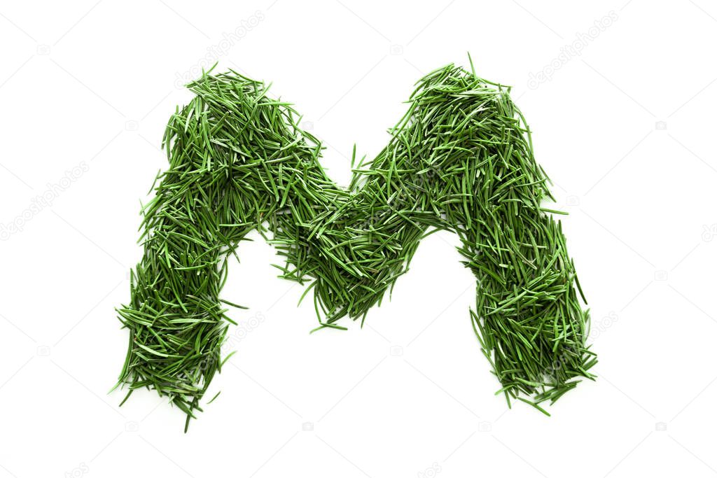 Letter M, alphabet made of green grass. Isolated on white background
