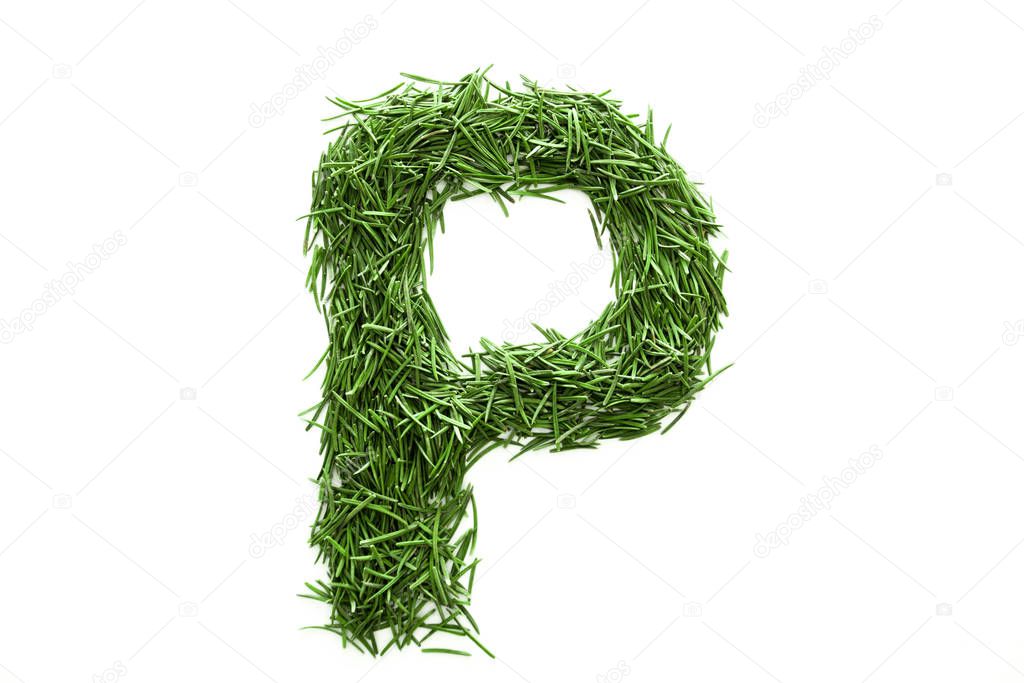 Letter P, alphabet made of green grass. Isolated on white background. Concept: ABC, design, logo, title, text, word