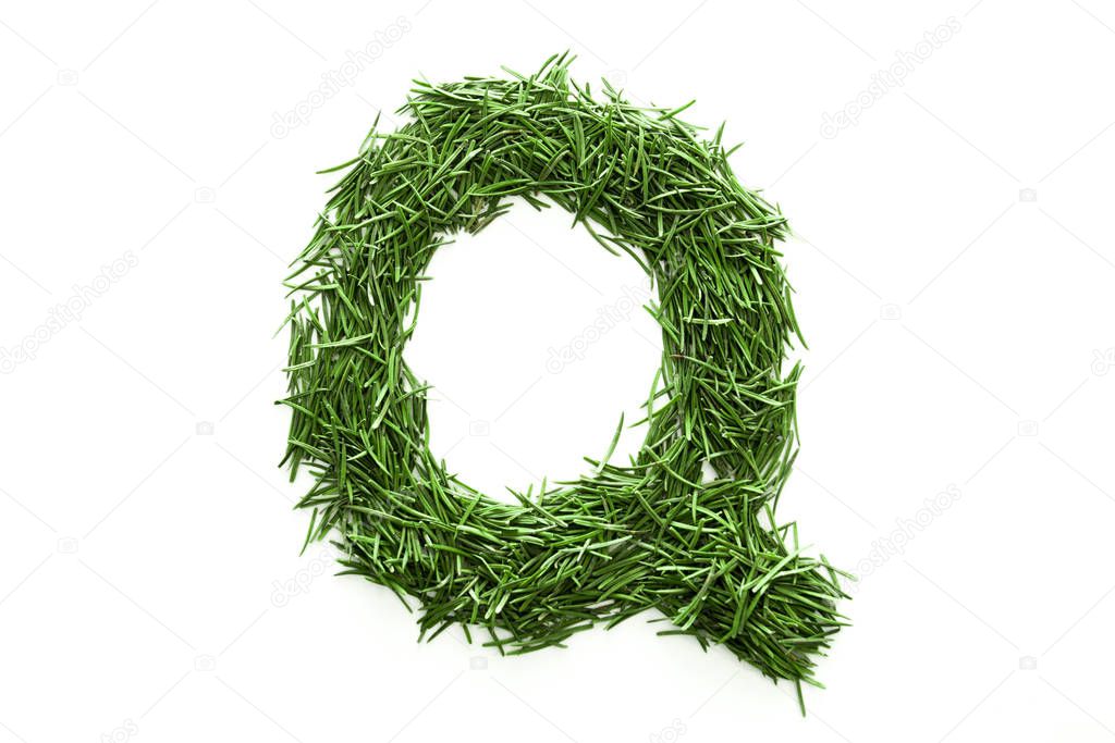 Letter Q, alphabet made of green grass. Isolated on white background. Concept: ABC, design, logo, title, text, word