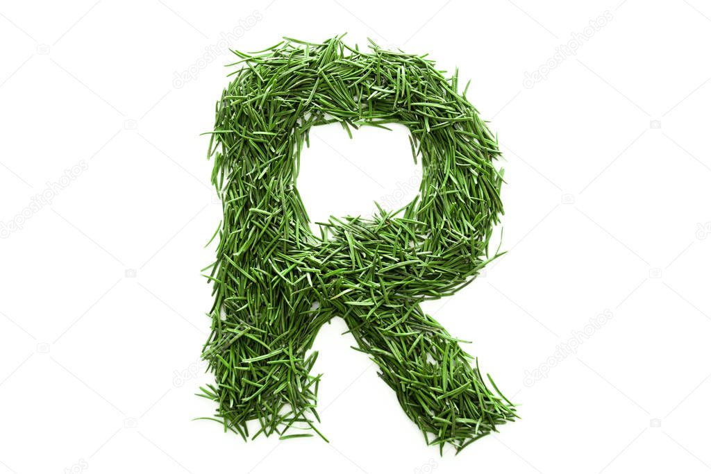 Letter R, alphabet made of green grass. Isolated on white background. Concept: ABC, design, logo, title, text, word