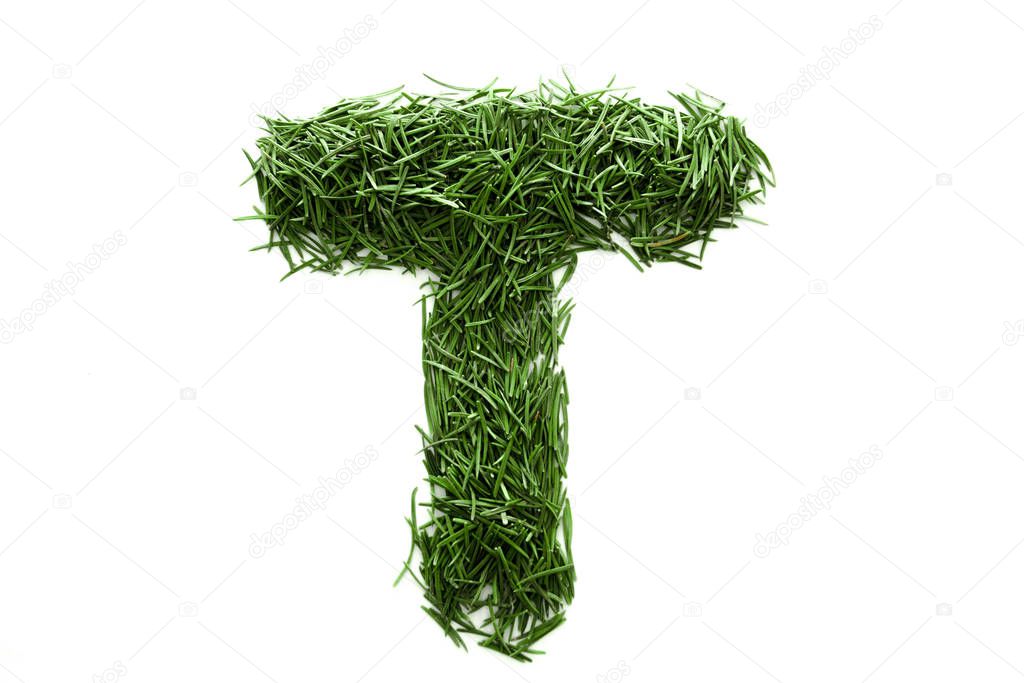 Letter T, alphabet made of green grass, collected from Christmas tree branches, green fir. Isolated on white background. Concept: ABC, design, logo, title, text, word