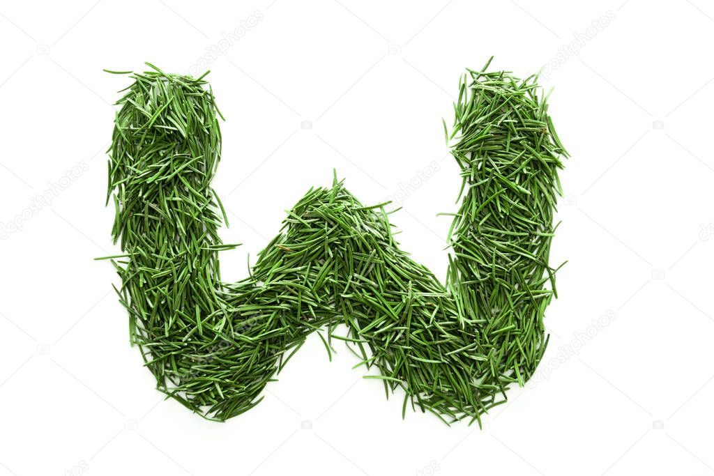 Letter W, alphabet made of green grass, collected from Christmas tree branches, green fir. Isolated on white background