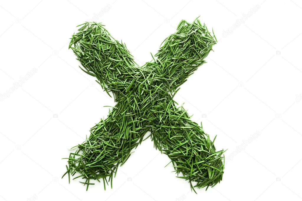 Letter X, alphabet made of green grass, collected from Christmas tree branches, green fir. Isolated on white background