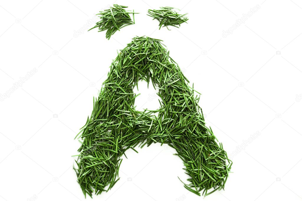 alphabet made of green grass, collected from Christmas tree branches, green fir. Isolated on white background