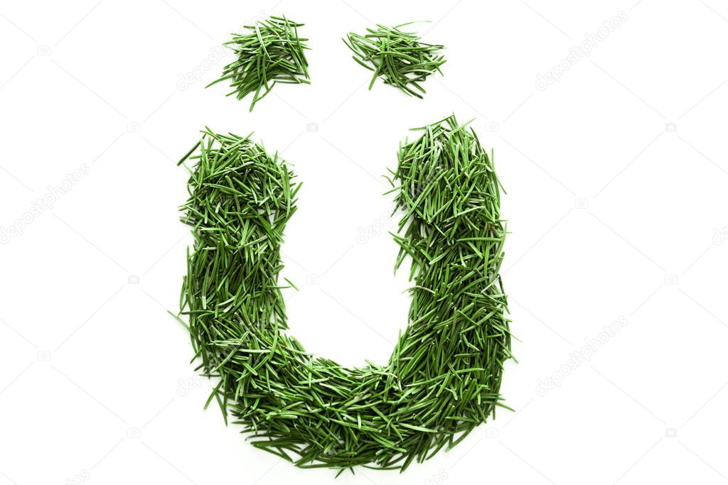 alphabet made of green grass. Isolated on white background