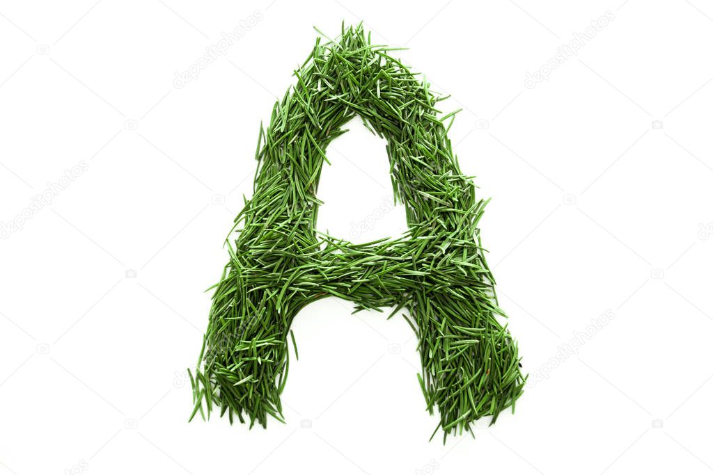 Letter A, alphabet made of green grass. Isolated on white background. Concept: ABC, design, logo, title, text, word