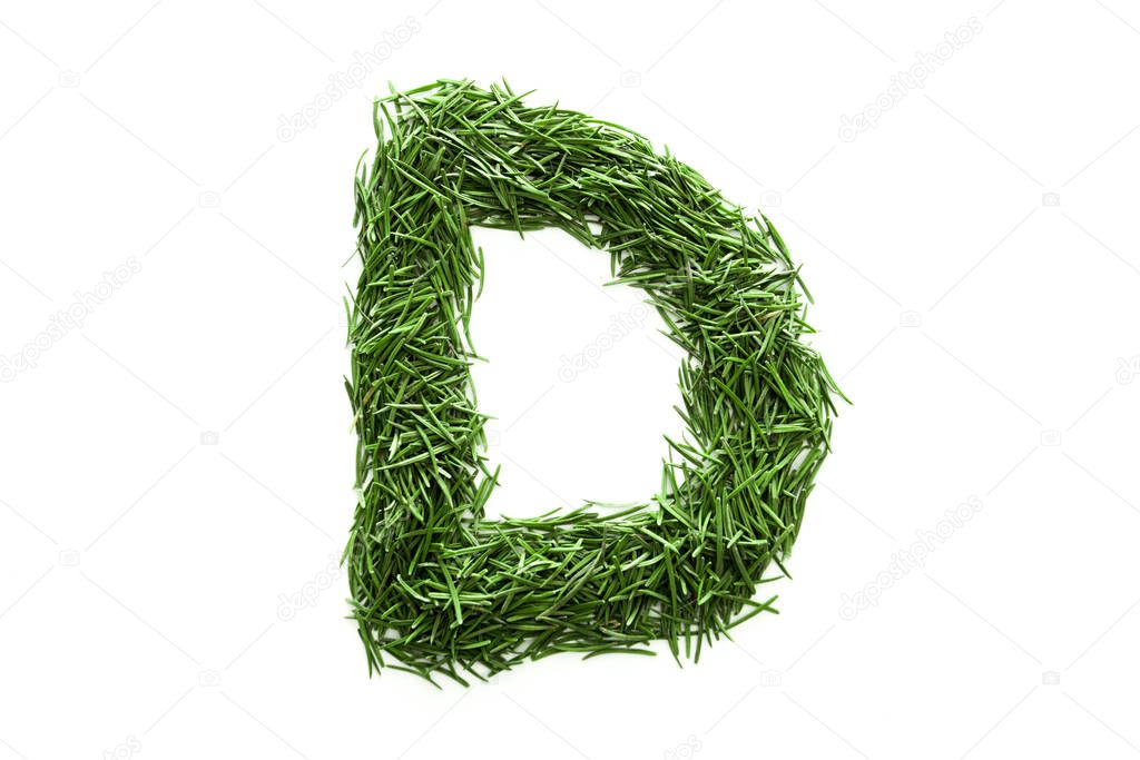 Letter D, alphabet made of green grass. Isolated on white background. Concept: ABC, design, logo, title, text, word