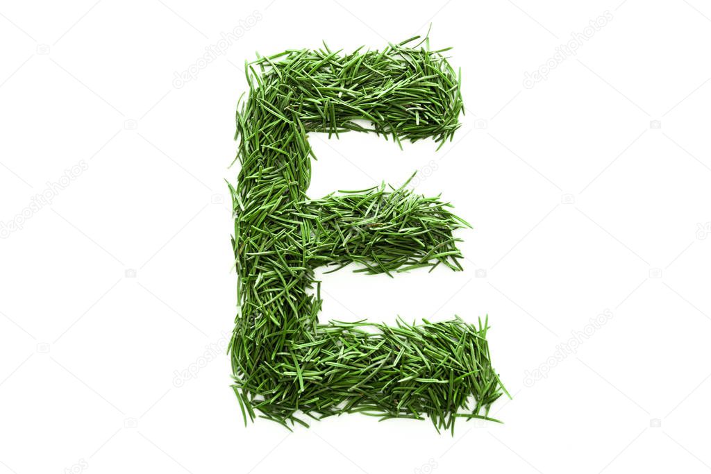 Letter E, alphabet made of green grass. Isolated on white background. Concept: ABC, design, logo, title, text, word