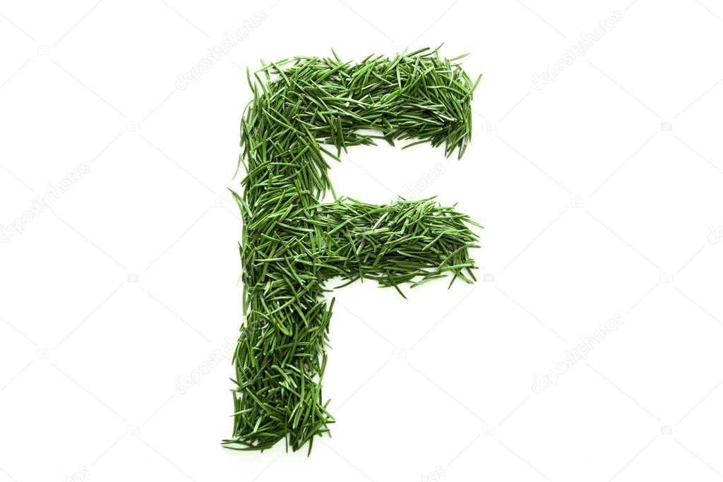 Letter F, alphabet made of green grass. Isolated on white background