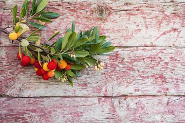 Bir arka plan üzerinde meyve ile kocayemiş dalı eski boya ve yıpranmış