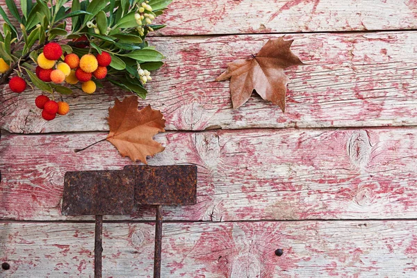 Paslı Bahçe Etiketler eski kurulları arka plan ve aşınmış boya