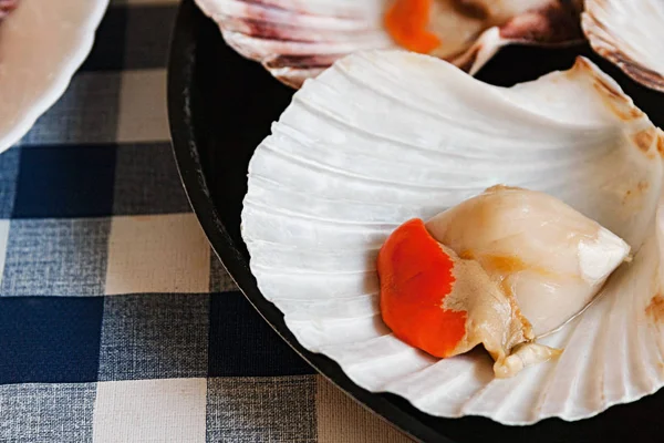 Kendi kabuklarında pişirmeye hazır taze deniz tarağı