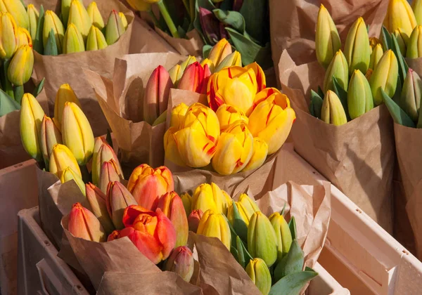 Gul og orange tulipaner udstillet på markedet for landmænd i marts - Stock-foto