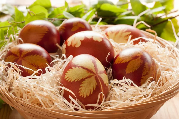 Uova di Pasqua tinte con bucce di cipolla, con un motivo di erbe fresche — Foto Stock