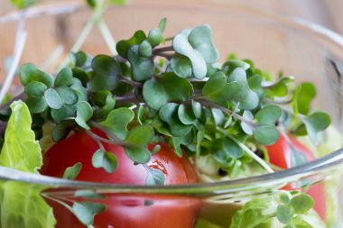 Taze lahana ve brokoli microgreens bir sebze salatası