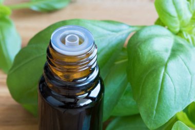 Fesleğen esans taze fesleğen ile bir şişe yaprakları