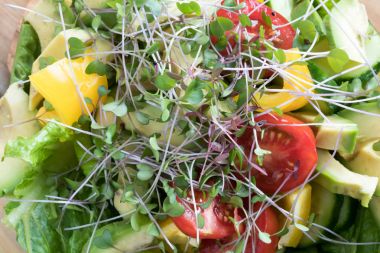 Kale ve mor microgreens bir sebze salatası