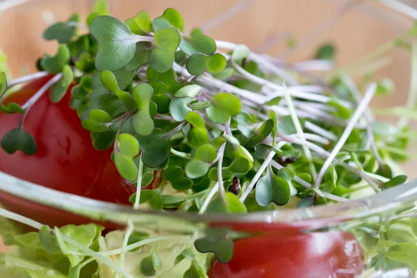 Taze lahana microgreens bir sebze salatası — Stok fotoğraf