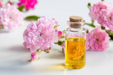 Gül uçucu yağ küçük gül çiçekleri ile bir şişe