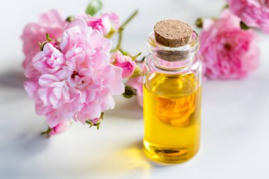 Gül uçucu yağ küçük gül çiçekleri ile bir şişe
