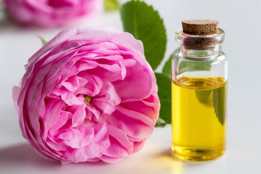 Rose essential oil: a bottle of oil with a rose flower clipart