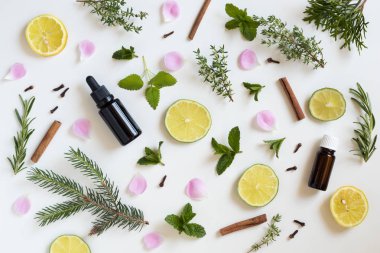 Temel yağlar ve herbs beyaz bir arka plan üzerinde seçim
