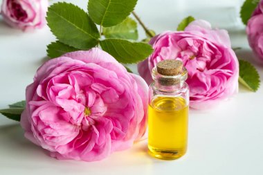 Rose essential oil: a bottle of oil with rose flowers clipart