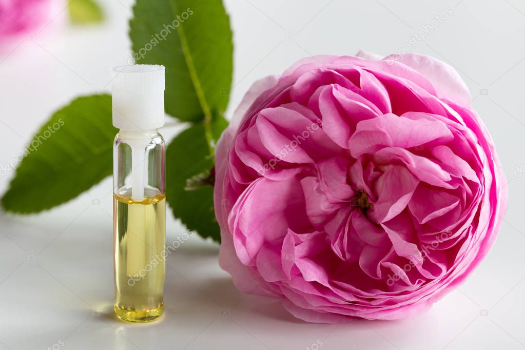 A small bottle of rose essential oil with a rose flower