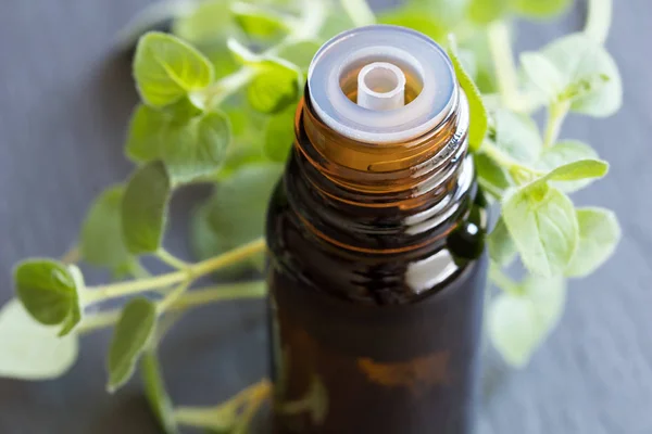 Een fles van oregano essentiële olie met verse oregano verlaat — Stockfoto