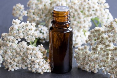 Civanperçemi esans taze civanperçemi çiçekli bir şişe