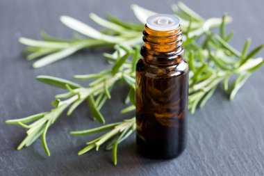 Biberiye esansiyel yağı taze biberiye dallar ile bir şişe