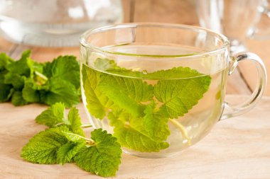 Melissa çayı - sıcak su taze melissa yaprakları dökülür