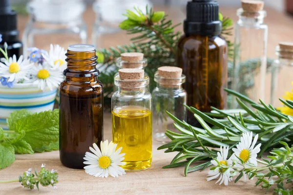 Selection of essential oils and herbs on a wooden background — Stock Photo, Image