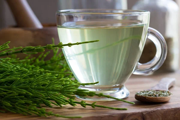 A cup of horsetail tea with fresh and dried horsetail — Stock Image A cup of horsetail tea with fresh and dried horsetail Royalty Free Stock Images