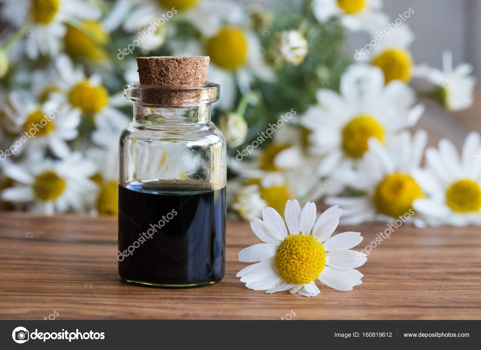 A bottle of chamomile essential oil with fresh chamomile flowers