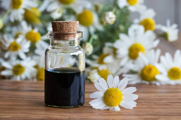 A bottle of chamomile essential oil with fresh chamomile flowers — Stock Photo, Image