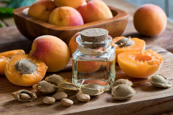 Бутылка абрикосового масла с абрикосовыми ядрами и абрикосами — стоковое фото